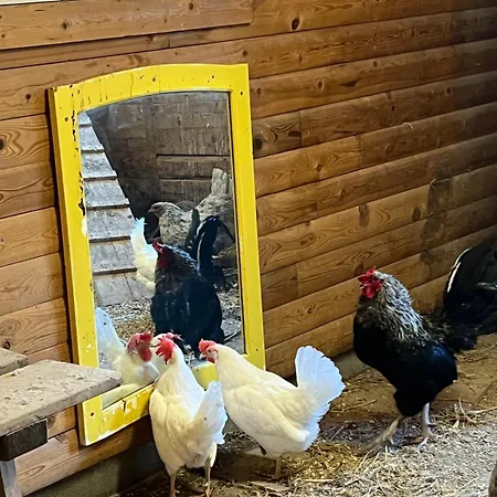 Gjestgiverier Mjuklia Gjestegard *